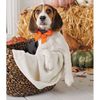 Mud Pie Halloween Orange Dog Bow, 2-inch x 4-inch