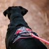 IDC Longwalk Y-Harness, Red-Gray, Size: L