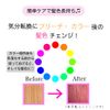Salon Exclusive & Series Pink Shampoo with Organic Herbal Extracts Color Shampoo (8.5 fl oz (240 ml) x 1)