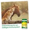 cdVet PropolisHerbal, 190 g