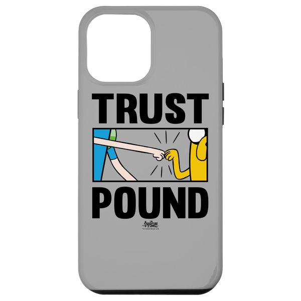 iPhone 15 Pro Max Adventure Time Trust Pound Case