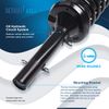 Both Front Struts w/ Coil Spring Assembly for Volkswagen Beetle Golf Jetta City