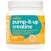 Wellah Pump-It-Up Creatine (100 SERV), Pineapple Mango) - Creatine Monohydrate