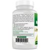 2 Pack Best Natural Mastic Gum 500 mg 60 Capsules 