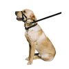 Ancol Weatherproof Nylon Black Training Halter Head Collar Animal Pet Training Accessory, Medium