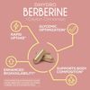 Sunwarrior Berberine Supplement Ceylon Cinnamon DihydroBerberine Capsules 60 Ct