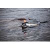 BNR Tackle Soft Beads Pro Pack North Coast