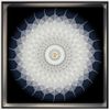 Cross Stitch, Flower, Abstract, Fashion, C0226