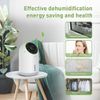 Mini Compact Dehumidifier 1500ml 322 sq ft with UL Certified Power Adapter