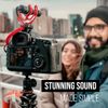 RØDE VideoMicro Compact On-camera Directional Microphone for Filmmaking, Content Creation and Location Recording