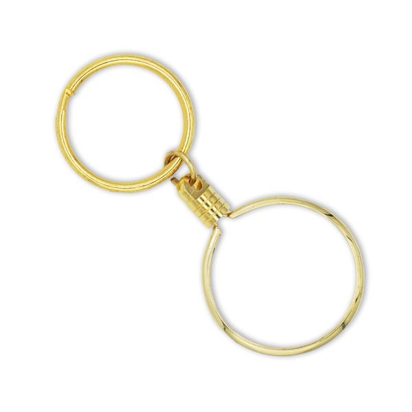 The Token Shop AA Coin Holder Keychain for 34 mm x 2 mm Triplate Sobriety Chip Recovery Medallion (Gold)