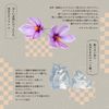 Lululun Face Mask Pack, Tokyo Lulun (Stylish Camellia Mask), 1 Piece x 5 Bags