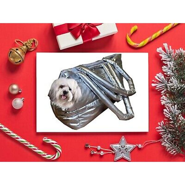 Pet Carrier Bag in Silver