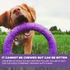 PULLER Midi Interactive Dog Toy Fitness Tool Set, purple