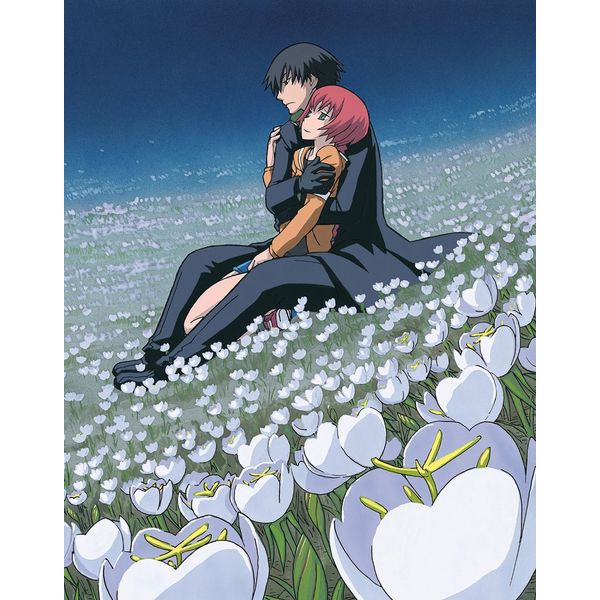 DARKER THAN BLACK -流星の双子- 8 [Blu-ray]