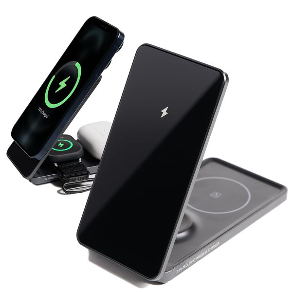 3 in 1 butterfly charger (black)
