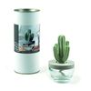 Pretty Valley Home Cactus Ceramic Diffuser Combo (White Orchid) Scent 200ml