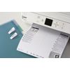 Avery Pocket Divider – Assorted Transparent Colours 12 Nails a4+ Transparent