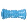 Bodytec Wellbeing hot and Cold Foot Roller (1)
