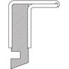 National 204035 Oil Seal