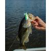 Heddon Spin'N Image - Black Shiner - 3.5"