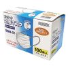 Chubu Bussan Boeki 2SM-01 Professional Work 2-Layer Mask Ear Type 100 Sheets