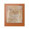 Venus Marble Eyeshadow Cat Series (Brown Tiger Cat)