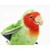 bh7254 hansa parrot 13
