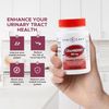 GeriCare Cranberry Supplement, 100 Tablets 450 mg (3)