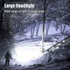 3000000LM Bright Solar/USB Rechargeable LED Spotlight Flashlight Searchlight US