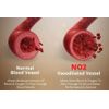 TestForm-X + NO2 Max (1 of each) -  Save 20% with Combo!