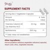 Benfotiamine Supplement 500mg 120 Caps
