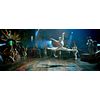 Cats (2019) [DVD]