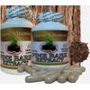 PINE BARK EXTRACT 120 CAPS 200 mg 2 PURE pine bark