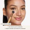 tarte concealer paw brush -