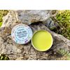 Stinging Nettle Salve, Nettle Root Balm, Arthritis, Sciatica, Illipe Butter, 2oz