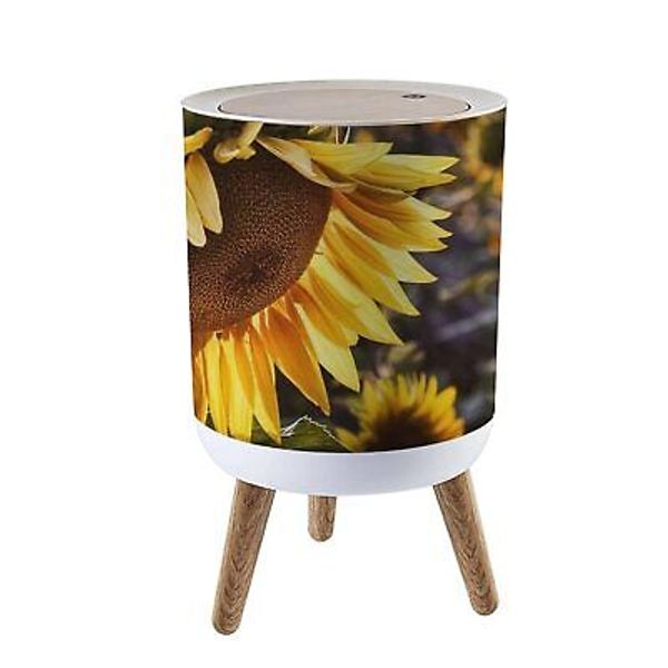 Small Trash Can with Lid Yellow sunflower in the sunset light Close up Sunflo...