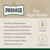 Proraso After Shave Lotion for Men, Refreshing and Toning with Menthol and Eucalyptus Oil, 3.4 Fl Oz (Pack of 1)
