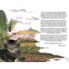 Your  Beloved Pet at the Rainbow Bridge Memorial