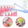 2pcs Interspace Toothbrush Soft Trim Single Tufted Wisdom Toothbrush for Detail Cleaning and Orthodontic Braces (Green and Blue)