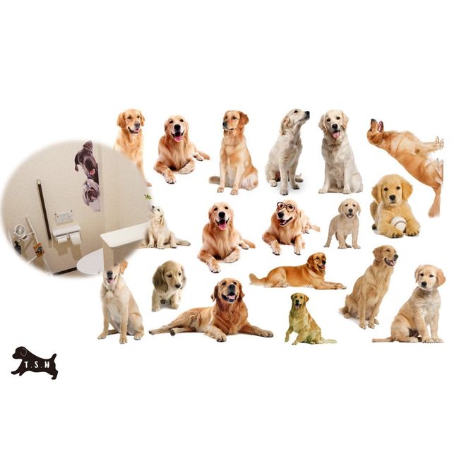 T.S.H Pet Wall Sticker Overall Size 23.6 x 35.4 inches (60 x 90 cm), 18 Divided Plastic, Large, Large, Golden Retriever Stickers, Interior Pets, Dogs, Seats, Large, Cute, Funny, Walls, Furniture, Cars (4580789251375)