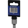 BRILLIANT TOOLS BT021831 3/8" Torx-E-Stecknuss, E5 [Powered by KS TOOLS]