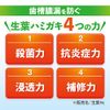 [Bulk Purchase] Hikishime Raw Leaves (Shouyo), Prevents Pyorrhea, Medicated Toothpaste, Japanese Chinese Herb Flavor, 3.5 oz (100 g) x 2 (Glasses Cleaner Included) (Quasi-Drug)