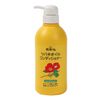 Camellia Oil Conditioner, 16.9 fl oz (500 ml)
