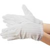 Custom (Custom) Electrostatic Prevention Gloves Small As – 302 – Small