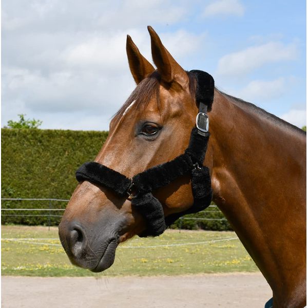 Rhinegold Fur Trim Headcollar - Cob - Black