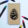 Azeeda 'Single Pine Cone ' Coloured Crayon Set (CY00033225)