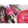 Wild Rose Body Oil