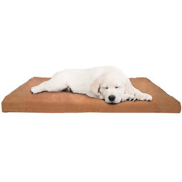 Foam Dog Bed 3" Thick Pet Bed with Removeable Cover By PETMAKER