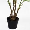 Botanik Realistic Potted Artificial Palm and Tropical Trees - Ready to Display